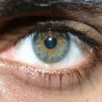 Faraz Osman (@farazosman) 's Twitter Profile