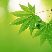 alyte201's profile picture. 