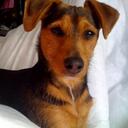 Che Alvarez Johnson - @CheAboutTown - Twitter