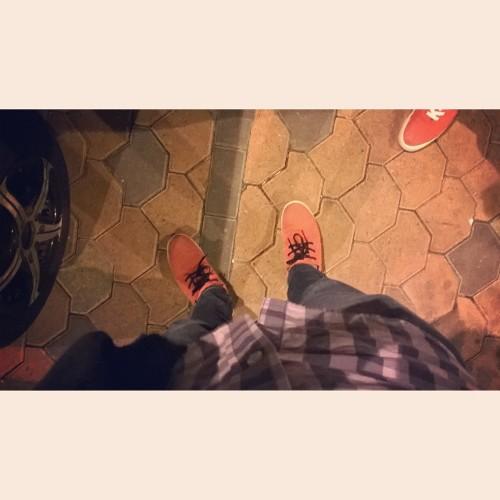 Ed_drums's profile picture. #Catlover, Music, Drums, Love, Friends. ✌                                     http://t.co/mMKzs5ILS9 - http://t.co/4RV42x7yXU