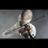 Kairo_Music's profile image