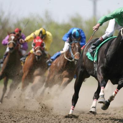 TFormbook's profile picture. Making good Profits following the use of betting in Doubles and Trebles. Daily for FREE.