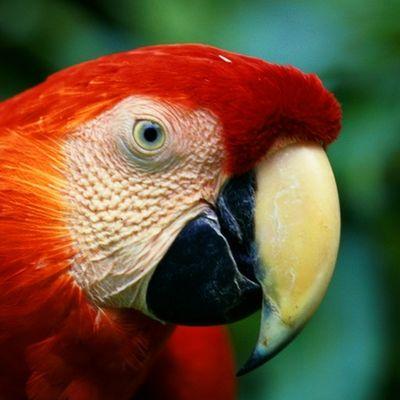 hellscream1234's profile picture. математик, программист, музыкант, теннисист, скалолаз, скромняга.