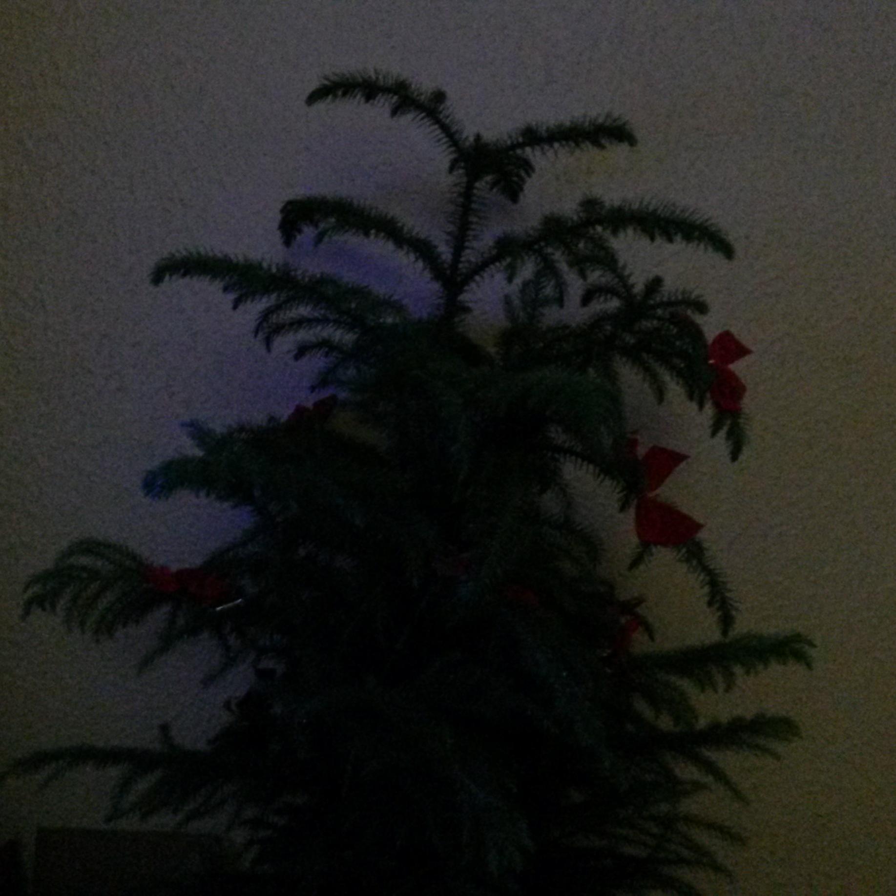 11Getzeal's profile picture. Life is good