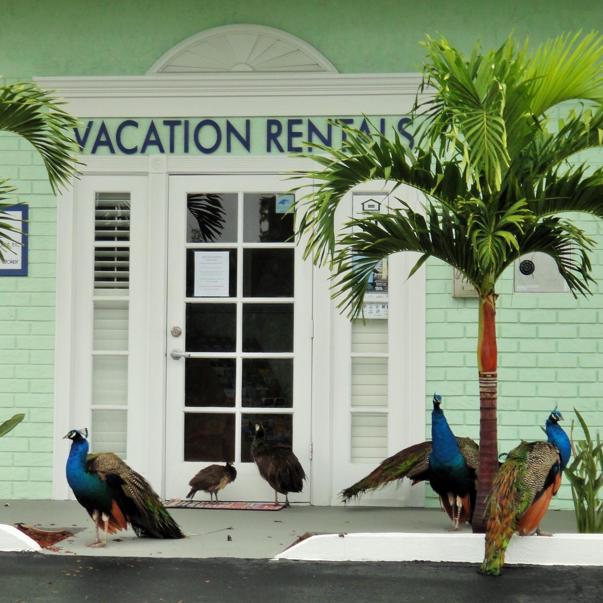 Space Coast Vacations Inc. Property Management & Rentals has been in business on the beautiful Space Coast of Florida since 1981.