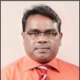 Cyber Security Consultant