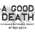 Assisted Dying (@GoodDeathProj) Twitter profile photo