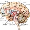 Brian Leong - @rabbitbrain75 - Twitter