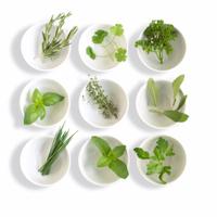 British Herbs (@britishherbs) 's Twitter Profile Photo British Herbs (@britishherbs) 's Twitter Profile Photo