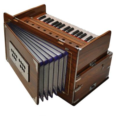 Old delhi music harmonium outlet