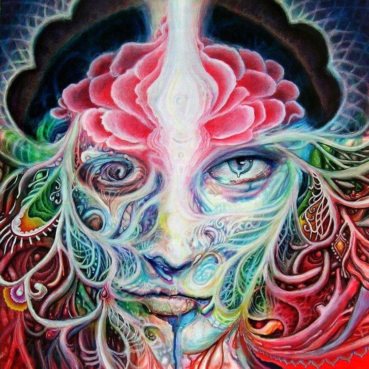 The portal to the Divine muse. We exist to create & inspire. Supporting & encouraging visionary art culture.