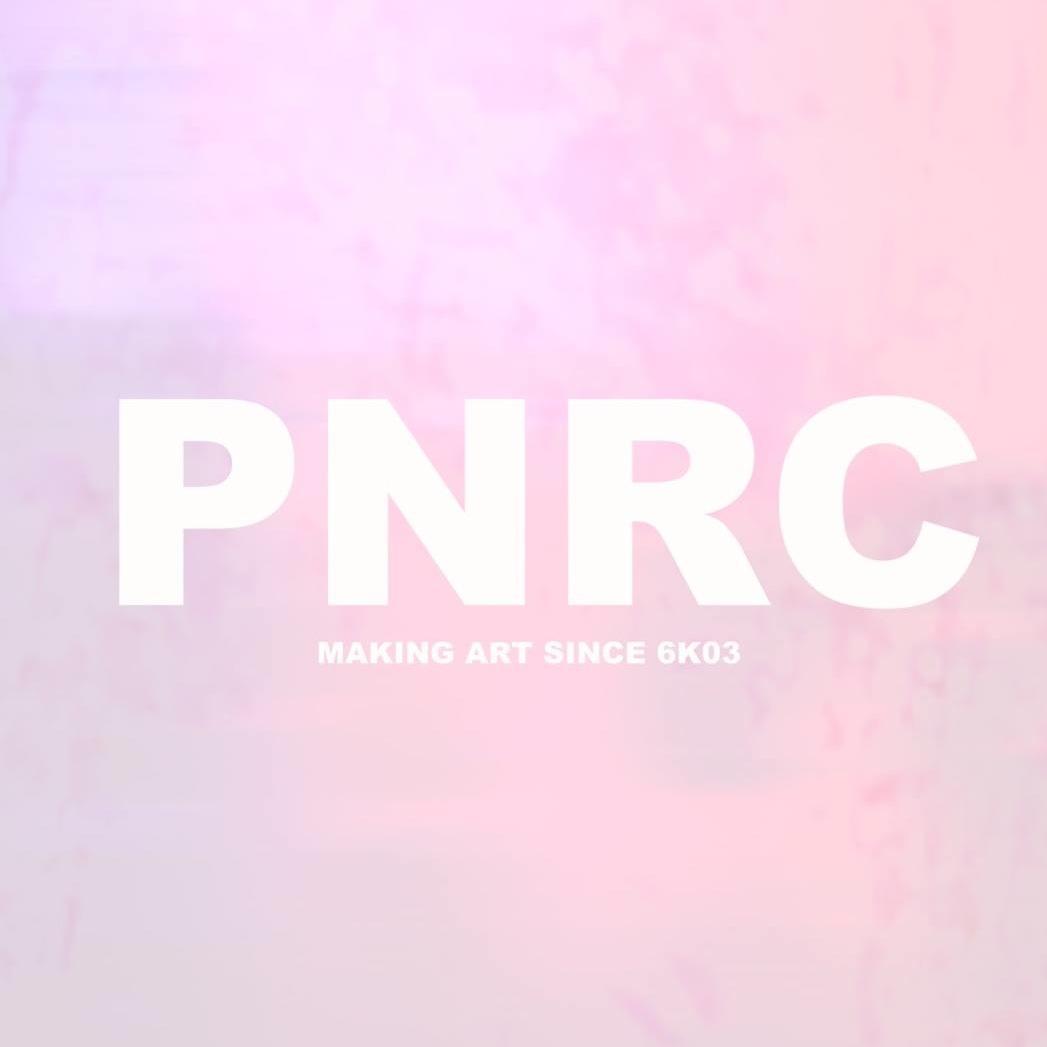 PNRCnl's profile picture. Purple Noise Record Club is a DIY art platform for and from artists