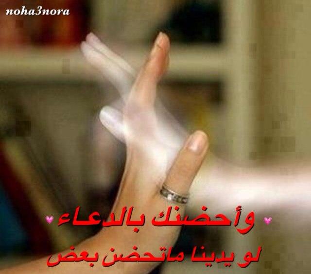 noha3nora's profile picture. لاني اعلم ان الحب دعاء نطقت اسمك فيه قبل اسمي واحطتك بكل دعواتي ،،، اللهم اسعدها سعادة الدارين، الجنة بفردوسها والدنيا بخيرها