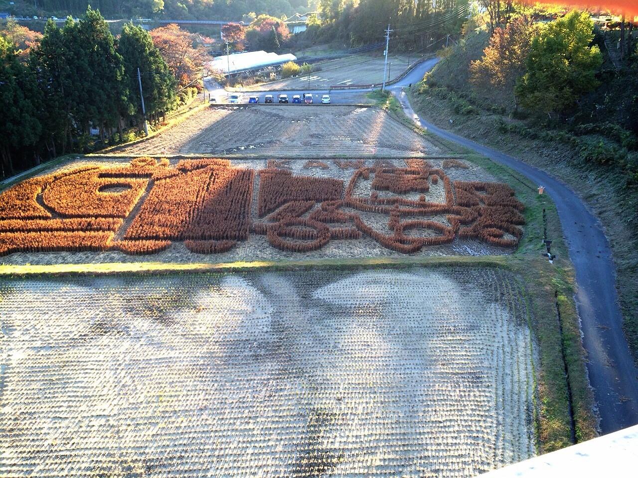 ama1123's profile picture. 