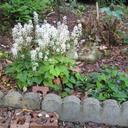 Sandi Simmons - @colagyrl - Twitter