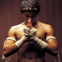 Muay Thai fight Club (@muay_thaifight) 's Twitter Profile