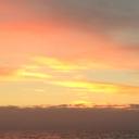 Josh Dodge - @JDodge02 - Twitter