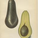 Samuel Chappell - @sam_chappell - Twitter