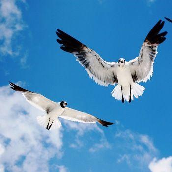 ryoukotobabot's profile picture. 迷っているとき、一歩踏み出したい時、元気になりたい時、人を説得したいとき、ふとおもいだしてもらえれば…