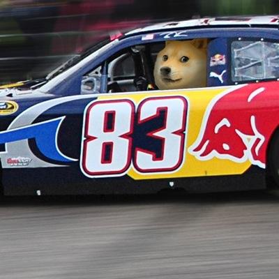 racecarlover191's profile picture. 