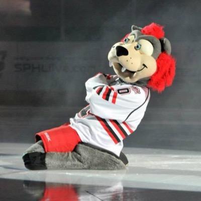 Offical mascot for @HavocHockey in the SPHL and little brother of @OfficialChaos00. Email chaos@hsvsports.com for appearances. Instagram @OfficialRukus
