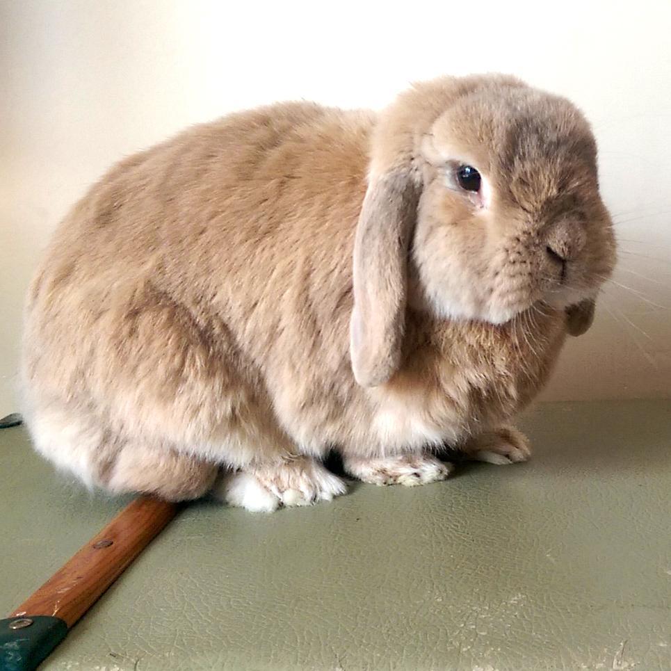 arteblanche's profile picture. 