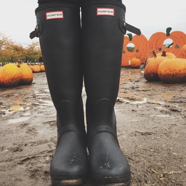 House_of_Shrop's profile picture. 