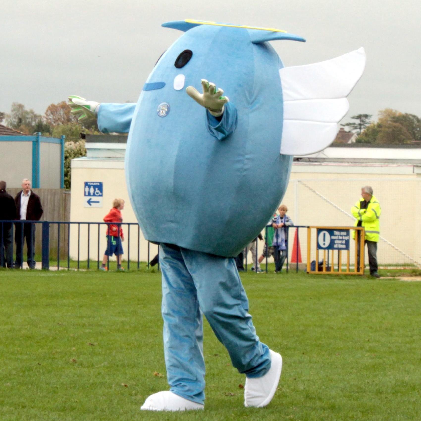 angelmascot11's profile picture. Tonbridge Angels FC Mascot   ...........                                                   Hark, the Harold Angel sings....!