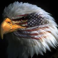 i come for the sports updates. stay for the puppies. one time an eagle attacked trumps face.