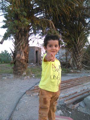 ArasharbabiA's profile picture. 