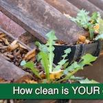 Residential & Commercial gutter Cleaning Service & Maintenance Covering Leamington, Warwickshire and surrounding villages