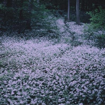 xbrndn's profile picture. 