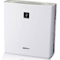 rabbitrabbit19's profile picture. 