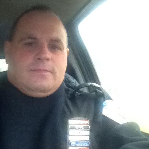 732_stilton's profile picture. 