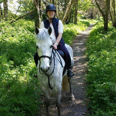 henderson2378's profile picture. 