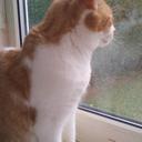 patrick donegan - @patrick22134 - Twitter