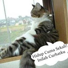 Berbagi solusi dan motivasi karena hidup ini terlalu singkat untuk banyak mengeluh. Yg mau curhat sm Mumut langsung mention / DM ya, sebisa mungkin mumut bls.:)