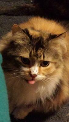 AndreaFelthous1's profile picture. 