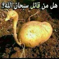 امالمي العروسي (@zeynhmed) Twitter profile photo