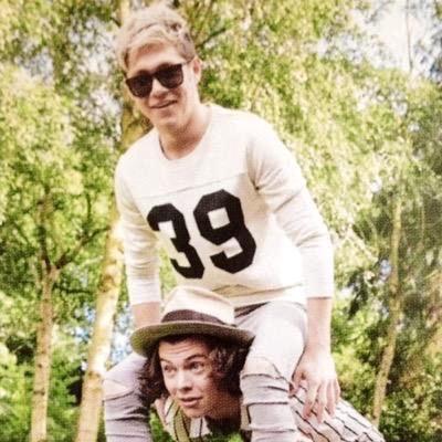 Follow me on @beside_niall_ I will follow you back i need more followers if i get 1000 followers I will do something very special for one direction