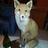 MulderZeFox2's profile image