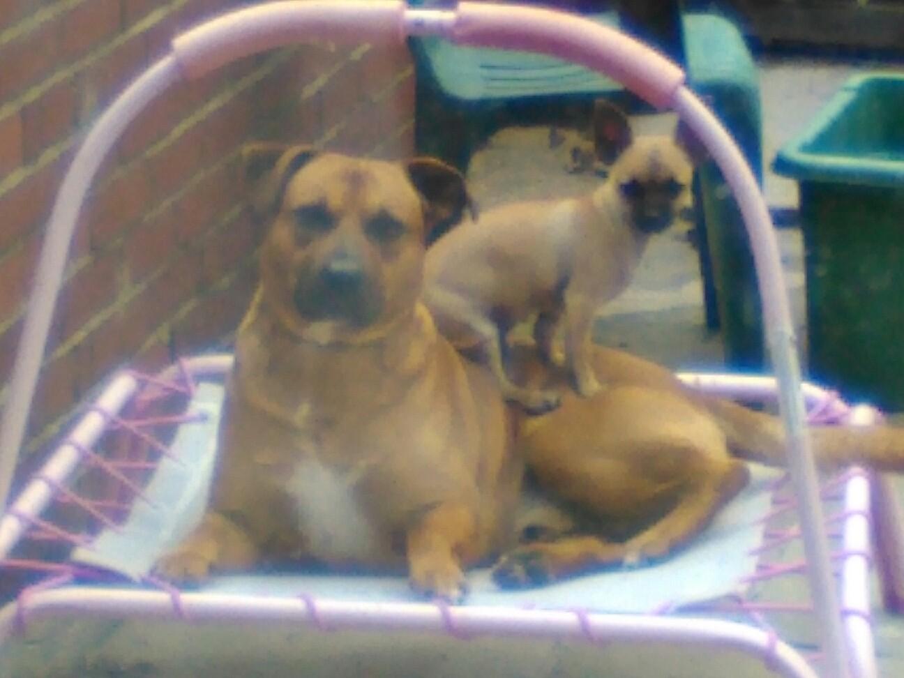 EmmajrEmma's profile picture. 