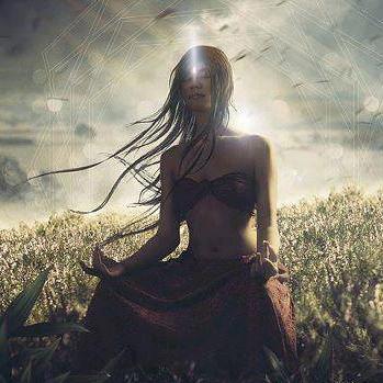 dromedrak's profile picture. 