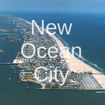 newoceancity's profile picture. RealEstate Investment In OceanCity OceanCityRental 
OceanCity RealEstate 
OceanCity Rentals ... NEWy23
