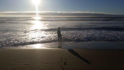 RuzyckiPowell's profile picture. 