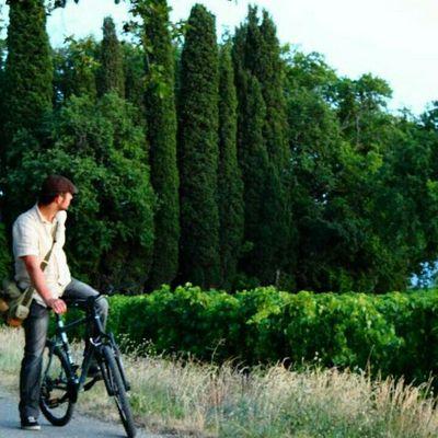 will1is's profile picture. 