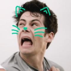 dylan is an adorable little kitty cat and⠀ ⠀⠀⠀no one can tell me otherwise!!