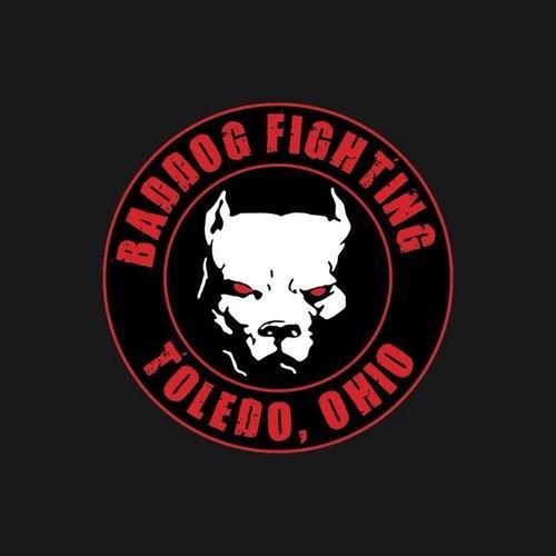 Baddog Sports Performance is a mixed martial arts school in Toledo, OH. We teach the art and discipline of fighting to all ages and skill levels.