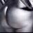 xontrokola_kim's profile image