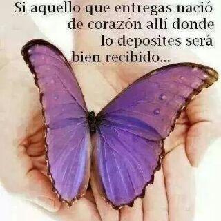 YraimaPichardo's profile picture. 3PJLhH4s8jmW5hBHkgZWArbmkkFtArgtKoV